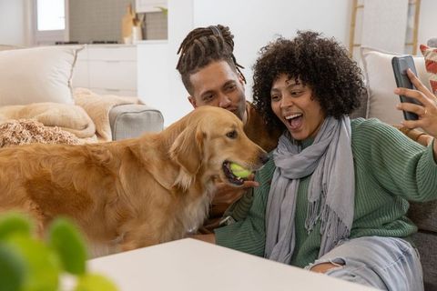 African american couple taking selfie with golden retriever holding tennis ball on sofa