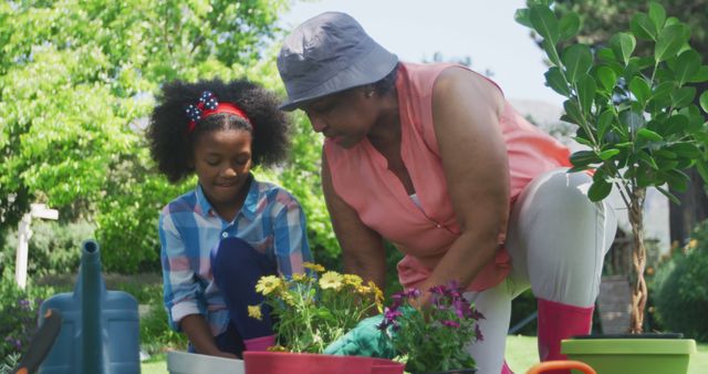 Grandmother and Granddaughter Gardening in Backyard on Sunny Day - Download Free Stock Images Pikwizard.com