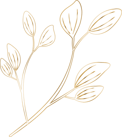 Elegant botanical branch illustration with gold lines on transparent background