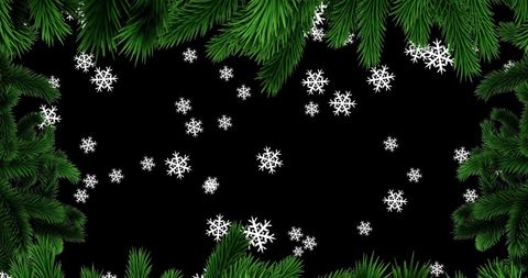 Christmas Fir Tree Border with Snowflake Overlay on Black Background