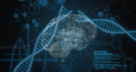 Futuristic Visualization of DNA Strands and Brain with Data Processing - Download Free Stock Images Pikwizard.com