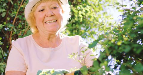 Senior Woman Gardening with Shears on Bright Sunny Day