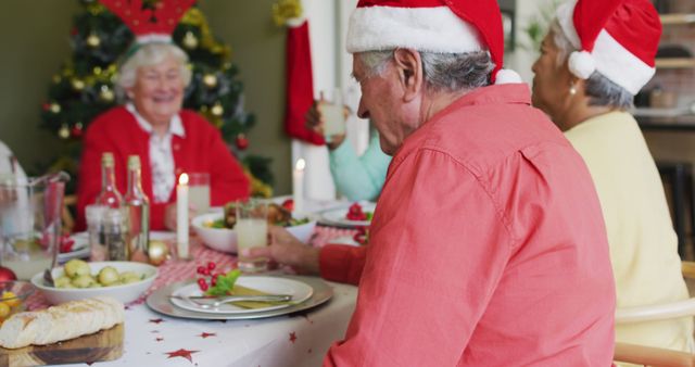 Senior Friends Celebrating Christmas Dinner Together - Download Free Stock Images Pikwizard.com