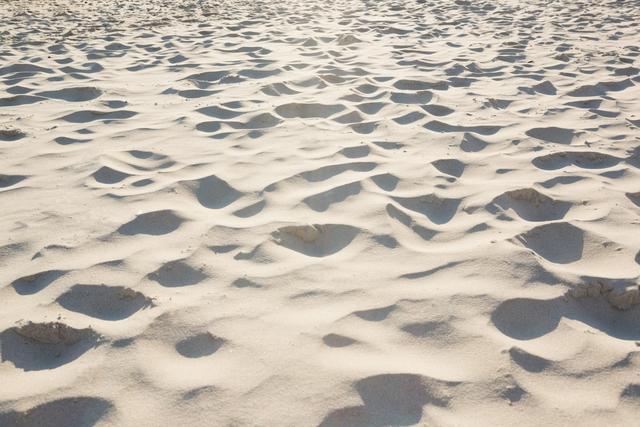 This image captures the rippled surface of sand at a beach, showcasing natural patterns formed by wind and water. Ideal for use in travel brochures, nature magazines, backgrounds for websites, or any project needing a serene, natural texture.
