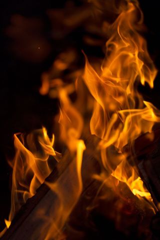 Dynamic Close-Up of Flickering Flames