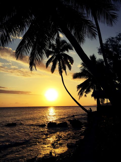 Serene view of a tropical beach at sunset with silhouetted palm trees framing the golden sun setting over the ocean. Ideal for travel and tourism promotions, relaxation and meditation themes, or nature and coastal scenery campaigns. Perfect for use in social media, blogs, and websites looking to evoke peaceful and exotic vibes.
