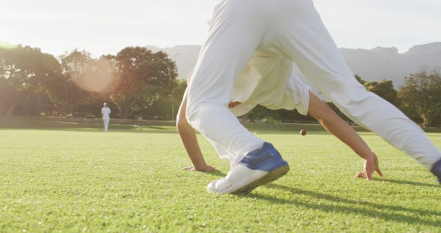 Cricket Player Fielding During Match on Sunny Day - Download Free Stock Images Pikwizard.com