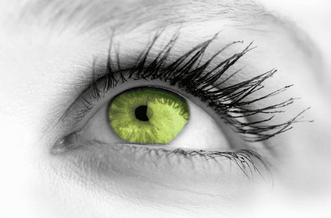 transparent close-up of green eye with long eyelashes - Download Free Stock Videos Pikwizard.com