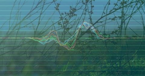 Dynamic Technology Abstract with Nature and Waveform Overlay
