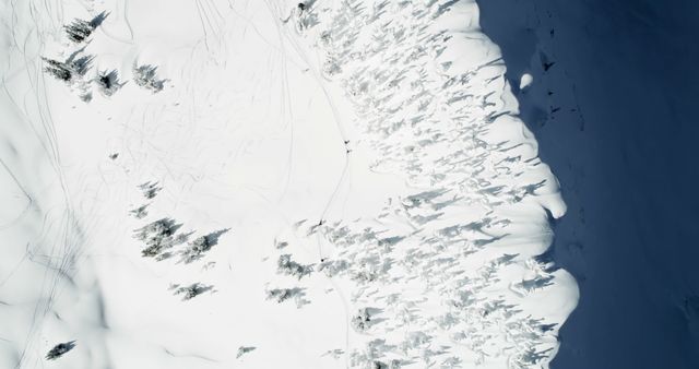 This image showcases an aerial perspective of a snow-covered forest with tall evergreen trees casting long shadows. Perfect for use in winter-themed content, nature and wilderness illustrations, or to evoke a serene and tranquil winter scene.