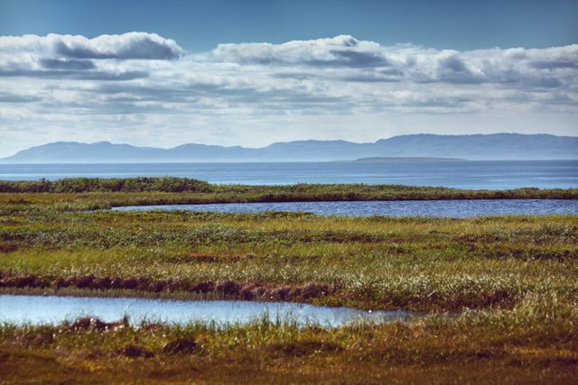 Beautiful coastal marshland with still water pools, lush green grass, and distant rugged mountains under a partly cloudy sky. Ideal for use in travel brochures, nature magazines, and environmental conservation campaigns.