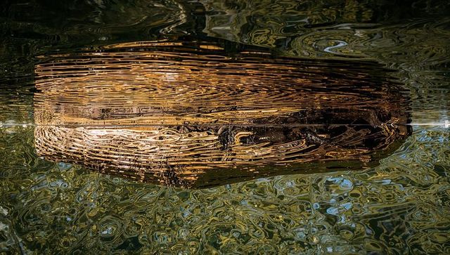 Golden driftwood reflection on rippling pond surface, wood grain and abstract texture