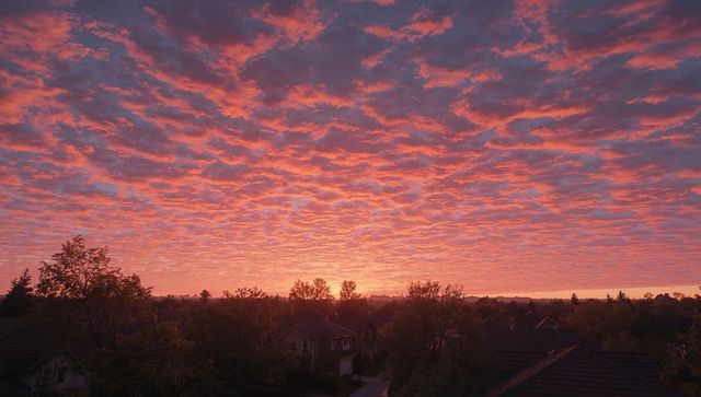 Vibrant Pink Orange Sunset Over Suburban Rooftops
