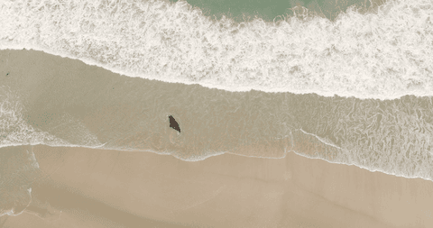 transparent ocean waves crashing on sandy beach from above - Download Free Stock Videos Pikwizard.com