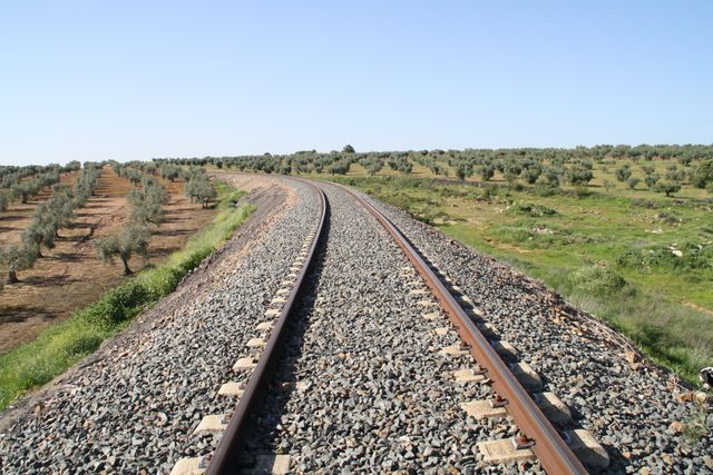 Railway tracks curving through a rural landscape with fields of olive trees on either side. The sky is clear and blue, adding to the serene countryside setting. Ideal for promoting travel, transportation, or agricultural themes. Can be used in editorials, advertisements, or educational content focused on rural landscapes, journeys, and the beauty of agricultural fields.