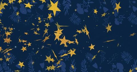 Golden Stars Scattered Across Night Sky with Botanical Silhouettes