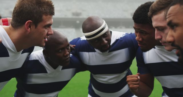 Diverse Rugby Team Huddling in Preparation for Match - Download Free Stock Images Pikwizard.com