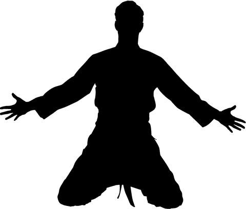 Transparent silhouette of male martial artist performing high kick