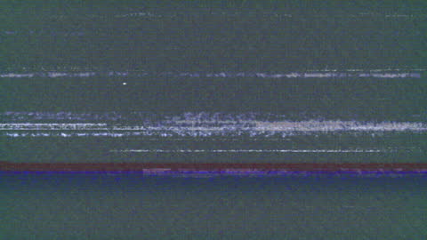 Digital Distortion with Global Network Animation