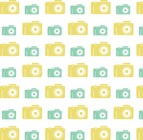 Yellow and Green Camera Pattern on Transparent Background - Download Free Stock Videos Pikwizard.com