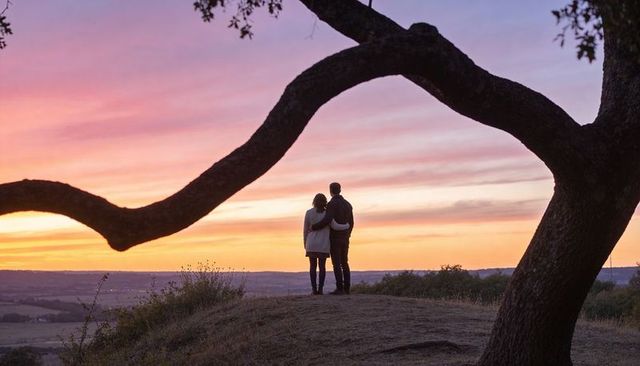 Couple embracing on hilltop at sunset framed by gnarled tree silhouette romantic twilight