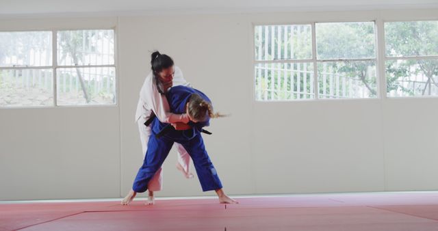 Women Practicing Judo on Red Tatami in Bright Room - Download Free Stock Images Pikwizard.com