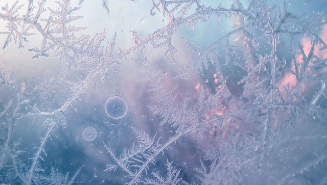 Exquisite Frost Crystals on Glass with Pastel Blossom