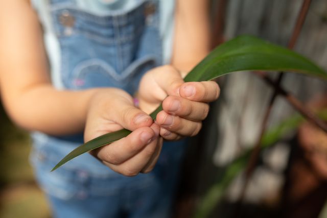 Child holding plant leaves in a sunny garden. Ideal for use in educational materials about nature and gardening, promoting outdoor activities for children, or illustrating concepts of environmental awareness and hands-on learning.