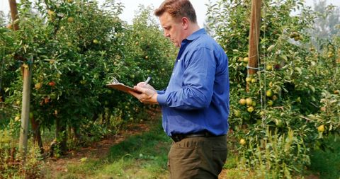Agricultural expert evaluating orchard trees with clipboard