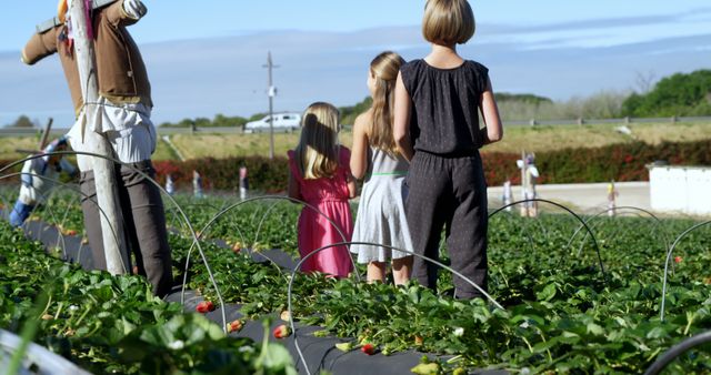 Three children stand lined up in a strawberry field, facing away. A scarecrow stands nearby, protecting crops in a rural setting. The children appear to be engaged in a family outing, learning about agriculture and nature. Perfect for use in articles or advertisements related to farming, agritourism, family activities, and environmental education.