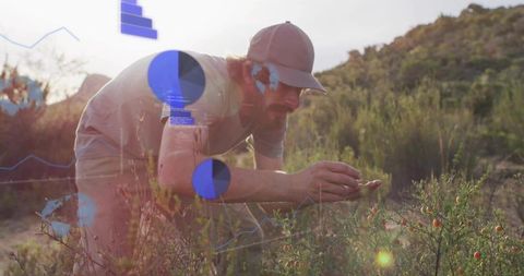 Foraging botanist inspecting wild berries with augmented reality data on sunlit hillside