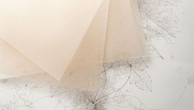 Layering translucent beige vellum with botanical line art and pearly texture