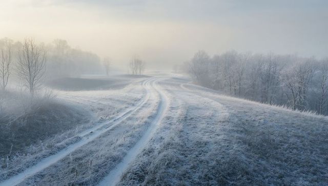 Winding frosted country track at dawn with twin tire ruts through misty winter meadow