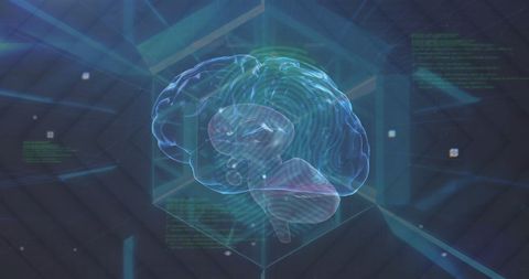 Futuristic Brain Interface in Digital Environment - Download Free Stock Images Pikwizard.com