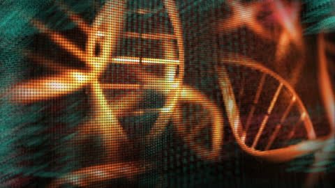 3D Representation of Rotating DNA Helix with Digital Grid