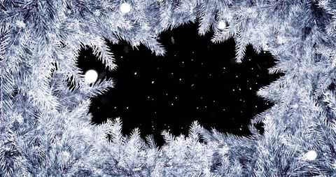 Snow falling over pine branches with festive black background
