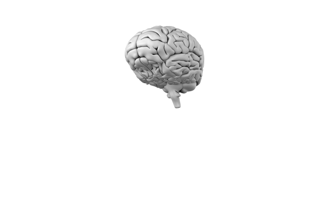 Transparent Digital Composite of Detailed Human Brain - Download Free Stock Videos Pikwizard.com