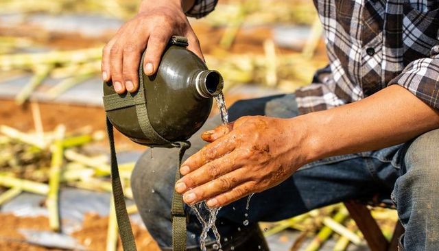 Male farmworker pouring water from olive-green canteen rinsing dirty hands in sunlit field