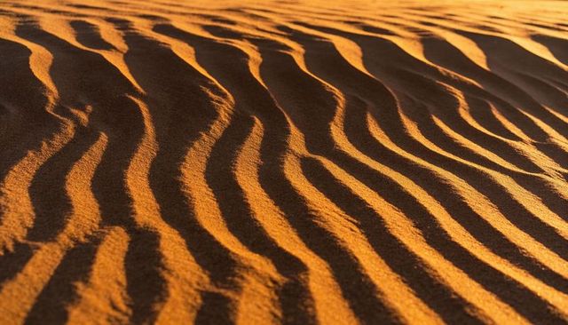 Golden sand ripples creating diagonal wave pattern on desert dune at warm sunrise