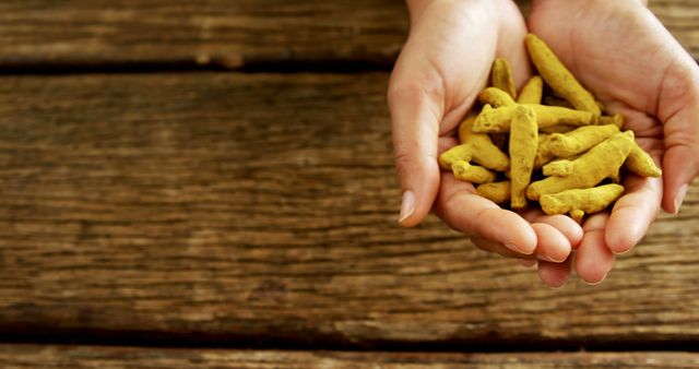 Hands Holding Fresh Turmeric Roots Over Wooden Table - Download Free Stock Images Pikwizard.com