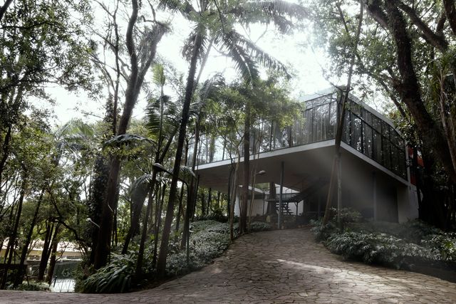 This image showcases a modern glass house, elevated and surrounded by dense tropical forest. Sunlight filters through the lush greenery, creating a serene and peaceful atmosphere. Ideal for use in articles or content related to contemporary architecture, eco-friendly living, remote retreats, and nature-inspired home designs. Also suitable for travel and real estate websites promoting wilderness lodgings or eco-tourism locations.