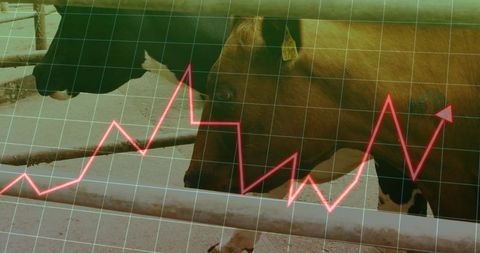 Livestock Economic Growth Data Chart Overlay