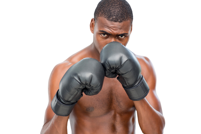 African American Boxer in Gloves Posing on Transparent Background - Download Free Stock Videos Pikwizard.com