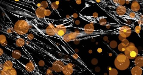 Abstract light patterns on black with golden bokeh elements