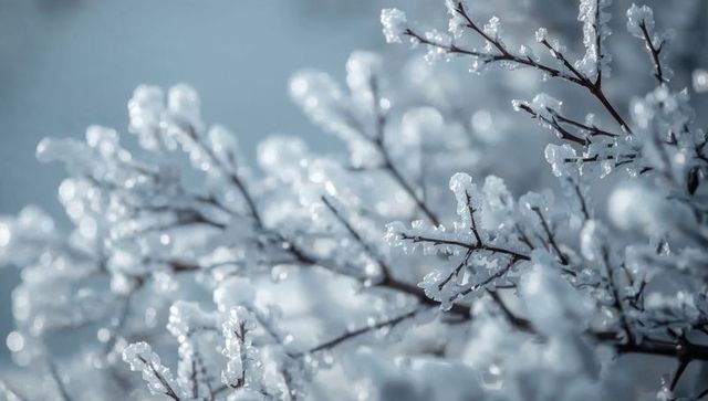 Crystalline ice coating twigs glittering with hoarfrost beads in serene winter closeup macro