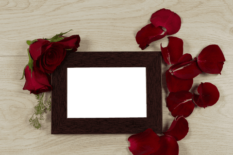 transparent frame with red roses and petals on wooden surface - Download Free Stock Videos Pikwizard.com