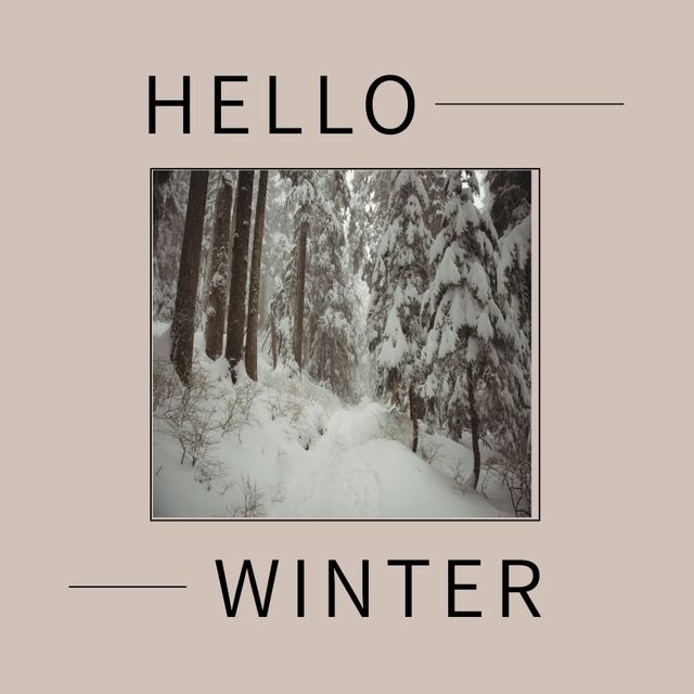 Square image of hello winter text with winter forest picture over purple background. Hello winter, seasons , nature campaign.