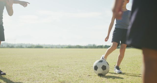 Children Playing Soccer on Sunny Field - Download Free Stock Images Pikwizard.com