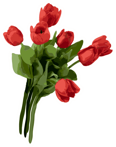 Elegant Bouquet of Red Tulips with Green Leaves on Transparent Background