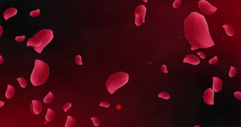 Floating red petals on mysterious dark background